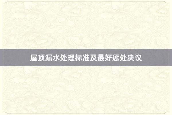 屋顶漏水处理标准及最好惩处决议