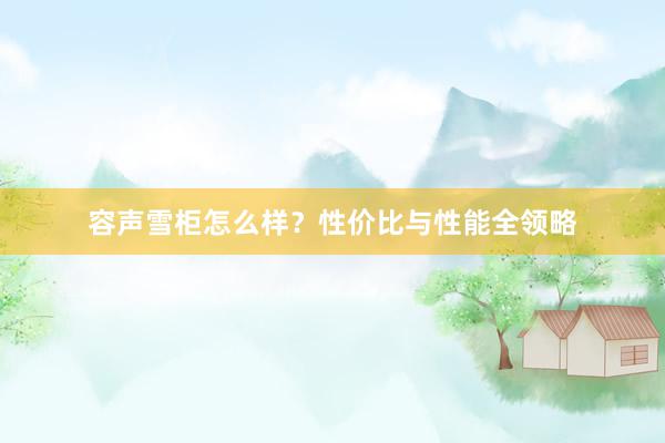 容声雪柜怎么样？性价比与性能全领略